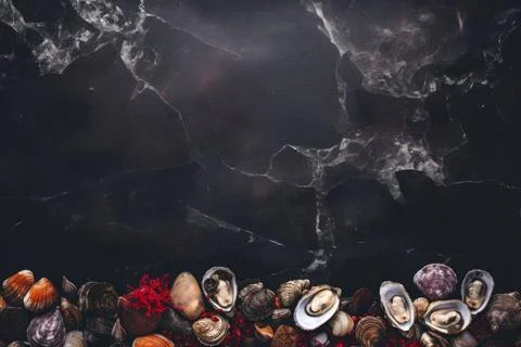  Close-up top view of shellfish texture showcasing intricate details with ... Stock Photos