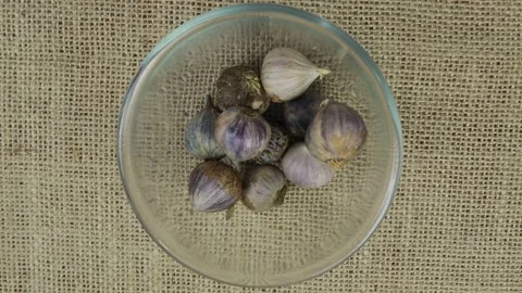 Close up top view Solo garlic (Allium sativum) poured into a bowl Stock Footage 264138626