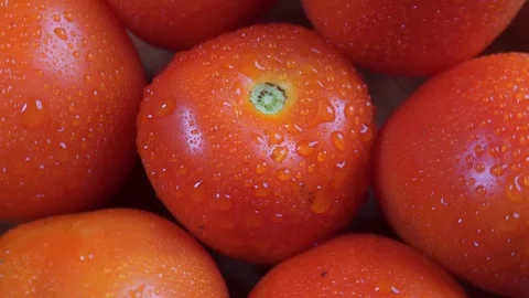 Close up top view of spinning fresh tomatoes Stock Footage 278200203