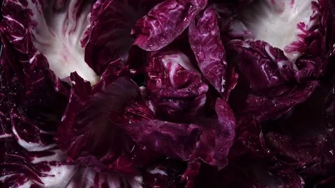 Close up of top view of wet red salad radicchio, rotating against the clock Stock Footage 76951632