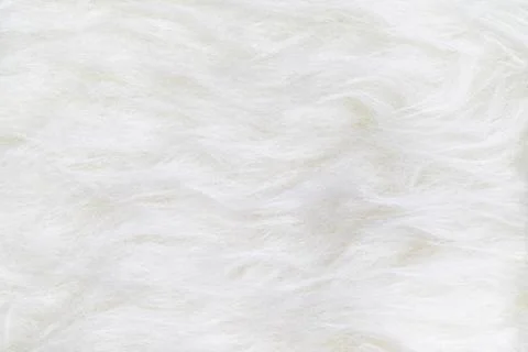 Close up top view of white clean fur texture background surface Foto stock