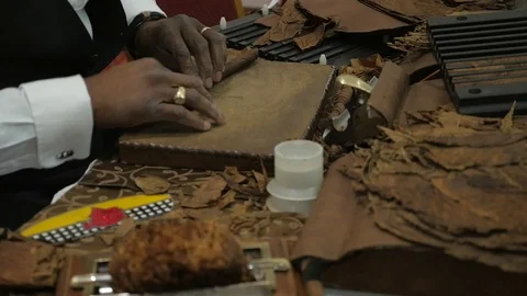 A close-up of a torcedor (cigar roller) making a cigar Stock Footage 75531749