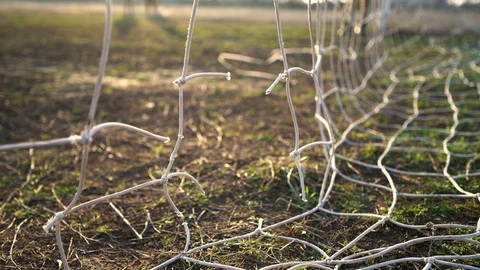 Close-up of a torn soccer net. Soccer ball through the net.Old gate soccer field Stock Footage 129734550