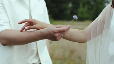 Close-up touching hands of couple in love in the field. Female gently touch Stock Footage 255573654