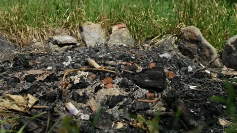 Close-up traces of the extinct bonfire on the ground after tourists Stock Footage 154869199
