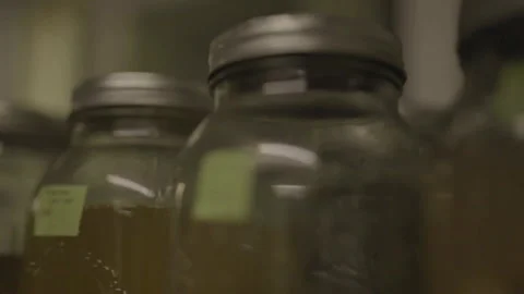 Close-up tracking along line of jars Vidéo 336374636