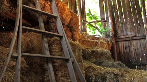 Close Tracking Shot of a Barn Ladder 動画素材 38894262