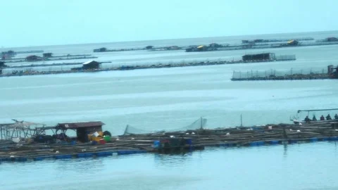 Close Tracking Shot of Floating Fish Farm Platforms Stock Footage 341679936
