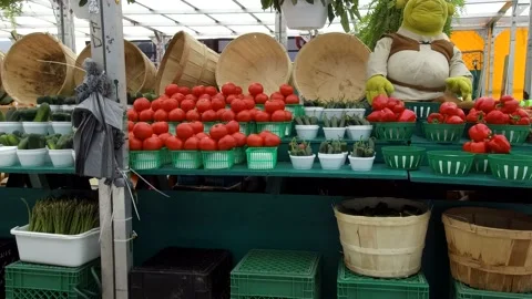 Close up tracking shot of a market vegetable stand 4K Stock Footage 135165557