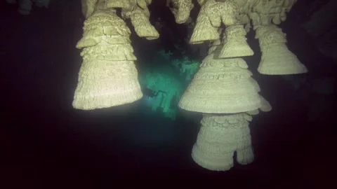 Close tracking shot passes a cluster of hanging bell formations Stock Footage 341394494