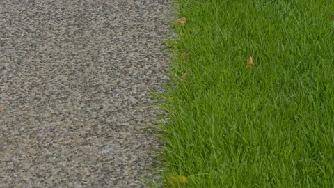 Close-Up Tracking Shot of Pebble Path Edging with Lush Green Grass Stock Footage 304093112