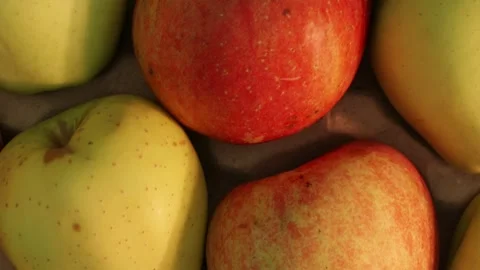 Close up tracking shot of sweet golden and red apples in box Stock Footage 339299486