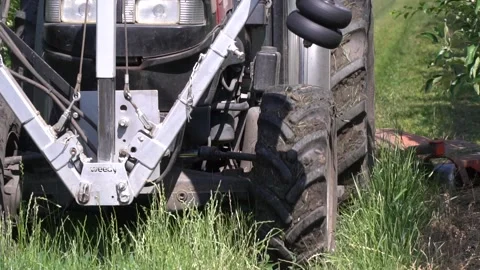 Close up of the tractor with lawn mower driving in between the rows of trees Stock Footage 138423364