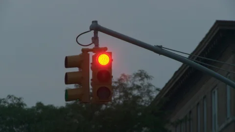 Close up of traffic light changing from red to green with trees, dusk. Vídeo Stock 109916515