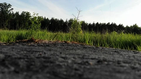 Close up of Trail and Dirt Video stock 111153759