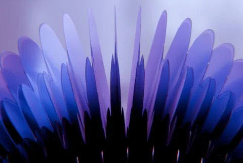 Close-up of translucent, violet-blue, petal-like shapes radiating upwards i.. Stock Illustration