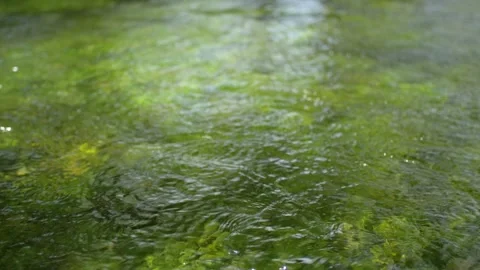 Close-up of the translucent water of a mountain river, in Bosnia Stock Footage 241605186