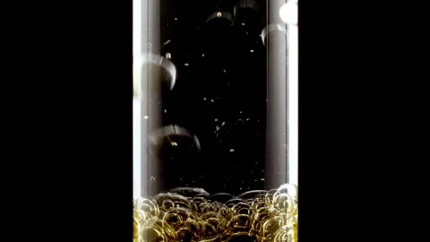 Close up transparent gold Air Bubbles, in up in Glass Test Tube on Black 動画素材 267975254