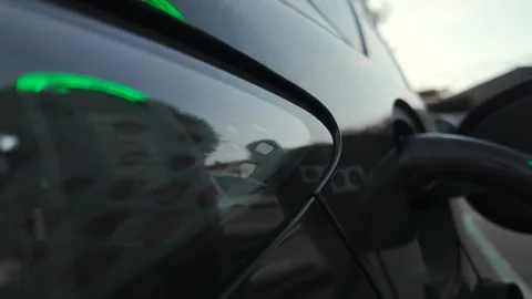 Close up of a transparent jellyfish floating in shallow clear water with Stock Footage 320434904