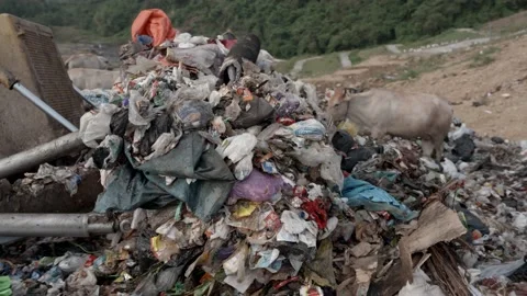 Close up trash bulldozer moving trash Stock Footage 235576202