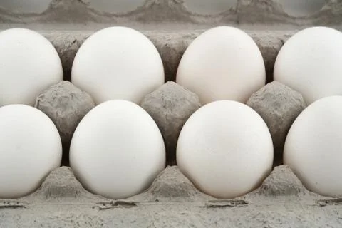 Close up of a tray with white eggs Stock Photos