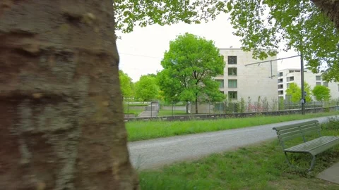 Close up of tree bark with blurred city park and buildings background Stock Footage 334630126