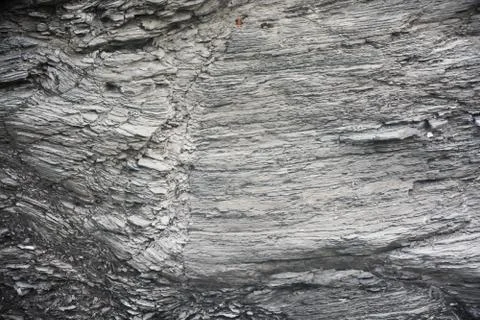 Close-up of tree bark section 스톡 사진