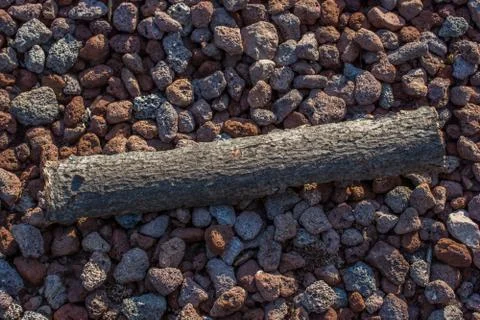 Close up tree bark texture as a  background Stock Photos