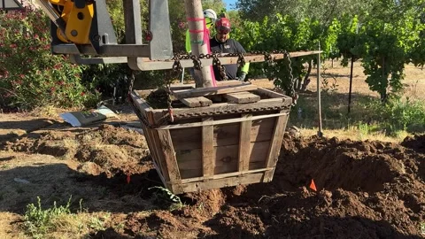 Close-up of tree being planted in California Stock Footage 312768401