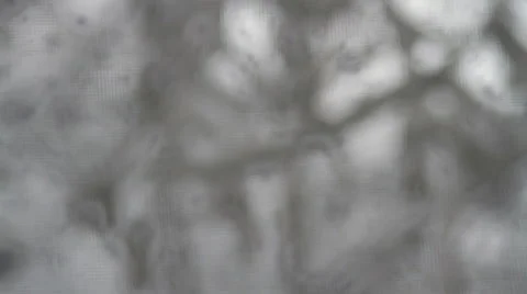 Close Up Of Tree Branches Coveder In Snow, Winter Background, Rack Focus Stock Footage 45534610