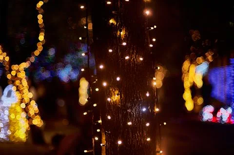 Close-up of a tree with colored lights around it and luminous background de.. Stock Photos