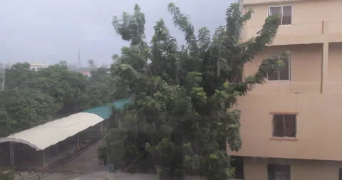 Close‑up of tree foliage blowing in rain, seen through window near building Stock Footage 341461865