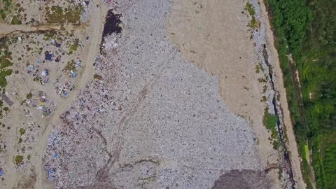 A close up of a tree 스톡 동영상 156846197