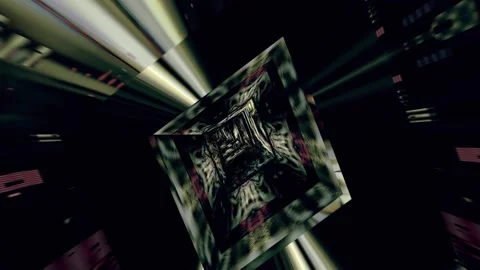 A close up of a tree 库存影片 157757505