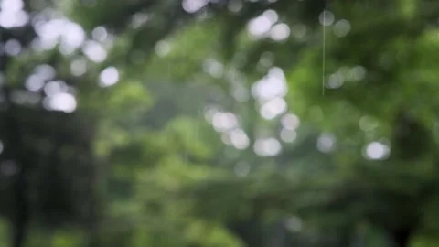 A close up of a tree Vídeo Stock 157873388