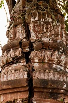 Close up of tree growing out a temple Stock Photos
