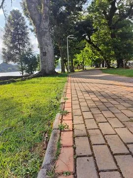 Close-up of tree-lined brick path in park Stock Photos