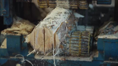 Close Up Of Tree Log Processing By Heavy Industrial Woodworking Machine Stock Footage 245788754