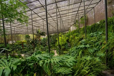 Close up on Tree Foto stock