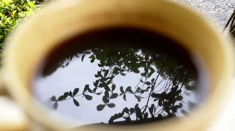Close up of Tree Reflection in Cup of Coffee. Stock Footage 44190708