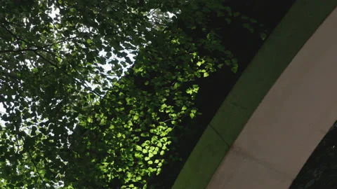 Close Up Of A Tree By The Sanctuary Of Meritxell Stock Footage 221828507