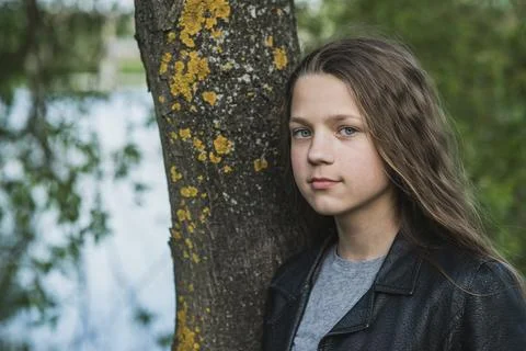 Close to tree stem Stock Photos