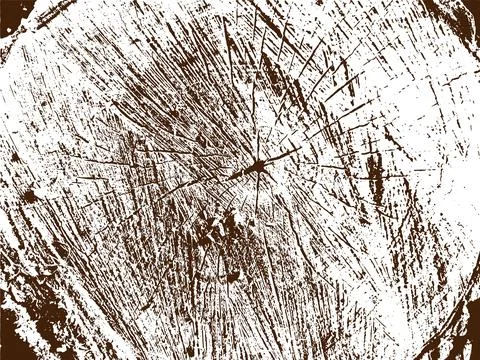 Close-up of Tree Stump Cross-Section with Wood Grain Stock-Illustration