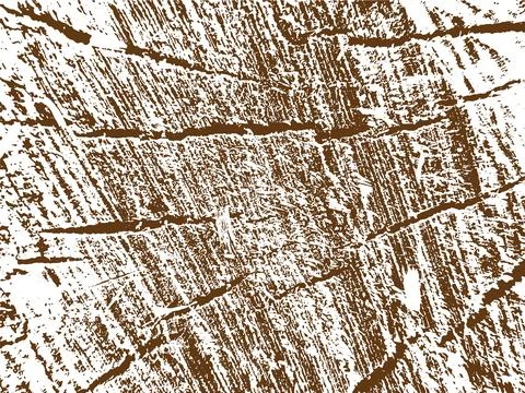Close-up of Tree Stump Cross-Section with Wood Grain Stock Illustration