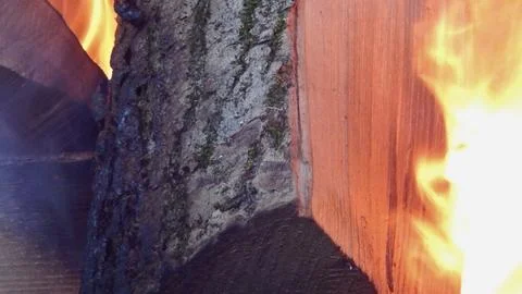 Close up of a tree trunk engulfed in flames during a wildfire Stock Photos