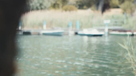 Close up of a tree trunk reveals a small port on the lake Stock Footage 276096598