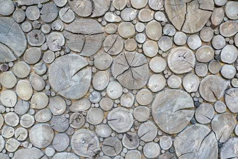 Close-up tree trunk sections as background texture 스톡 사진