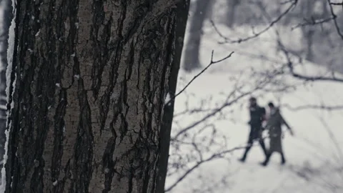 Close-up of tree with two blurred out persons walking in the background Stock Footage 300023552