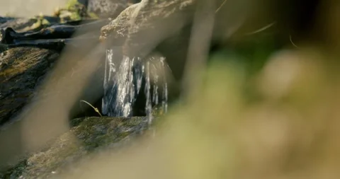 Close Up Trickling Stream Stock Footage 284743945