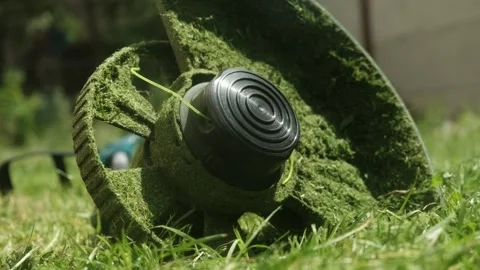 Close-up of trimmer on cut grass with stuck grass pieces, symbolizing work done Stock Footage 310241491